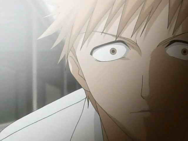 Otaku Gallery  / Anime e Manga / Bleach / Screen Shots / Episodi / 006 - Scontro mortale Ichigo vs Ichigo / 076.jpg